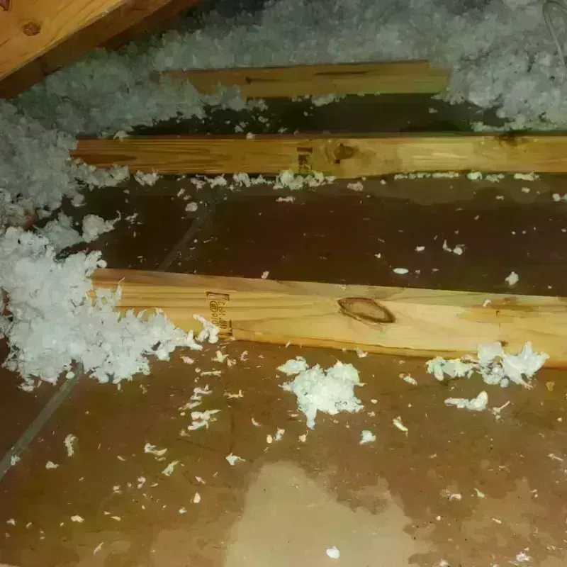 Attic Water Damage in Brightwaters, NY